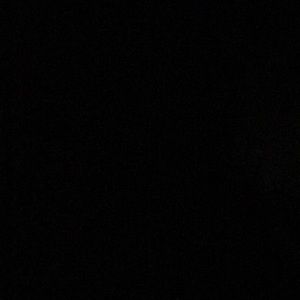 Meet your Posher, Donald